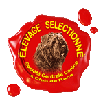 ELEVAGE DU CLOS DE LA LUETTE LABEL DE QUALITE
